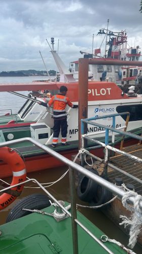 02c93842-5b56-4cd3-83b2-20e82aea9011